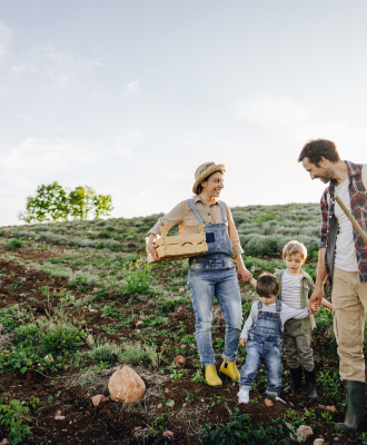 Efraim imobiliaria (2)